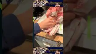 Подборка приколов 😂