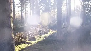 Twirling Bokeh Transition - Free Premiere Pro Template