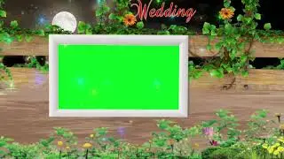 Wedding Background / Background Wedding Green Screen / Green Screen Video / Green Screen Effects