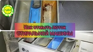 ✅ЛУЧШИЙ способ отмыть ЛОТОК СТИРАЛЬНОЙ машины И межплиточные швы