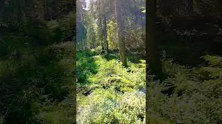 элиту на фронт