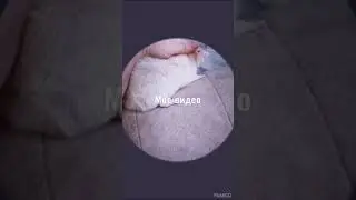 https://m.vk.com/ratlove1385