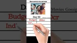 Pathan movie total collection | Pathaan hit or flop 