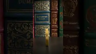 Luck & Gold - Year of the Rabbit 🐇
