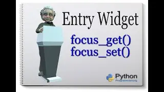 Python Tkinter Entry Widget [focus_get() and focus_set()] english #4