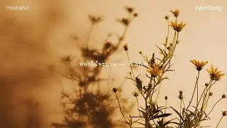 ดอกไม้จะบาน (Raise) : FREEHAND (ArunSong Visualizer)