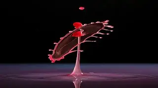 BeyondEyes: A Slow Motion YouTube Channel TRAILER