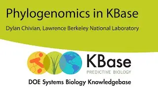 Phylogenomics in KBase Webinar - 22 April 2020
