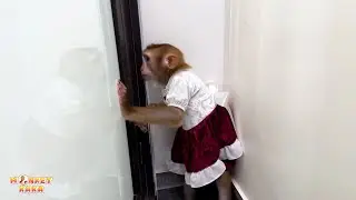 Super Smart Monkey! Kaka secretly eats her dad's food