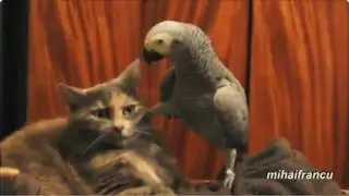 Мысли Кеши ^^