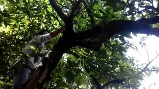 Héroe salva un gato de morir de una caida