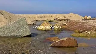 CODES 2022  | CÓDIGOS 2022 | КОДЫ 2022
