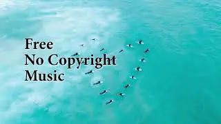 Niwel - Panavi  | Free No Copyright Music