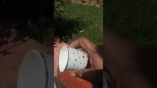 technical hacks #hacks #reuseidea  #disposalcuphacks #cuphacks
