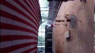 Amazing belgian malinois Dog Training for Bheema Bite in Thrissur Kerala By Jeyesh