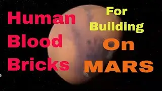Human Blood Bricks For Building On Mars