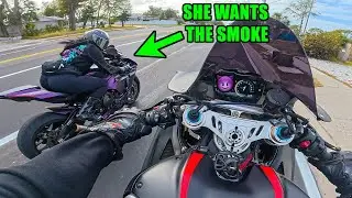 Taking My Panigale V4 SP2 To A Dyno Shootout 💨 | Turbo Hayabusa, Fireblade, R1, Ninja H2 SX