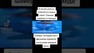 Мемы по ТикТоку #994