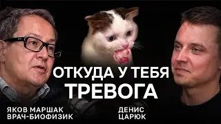 Что помогает при тревоге? — Доктор Яков Маршак, инструкция от тревоги