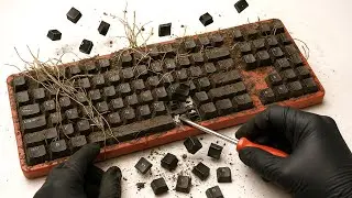 I Cleaned The Dirtiest Red Keyboard | Change Cleaning ASMR #asmrkeyboard #cleankeyboard #cleaning