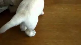 menko