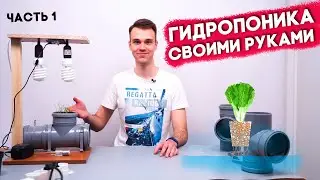 ГИДРОПОНИКА С АВТОМАТИЧЕСКИМ УПРАВЛЕНИЕМ СВОИМИ РУКАМИ 