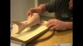 How to Make a Shark out of Clay (and what not).