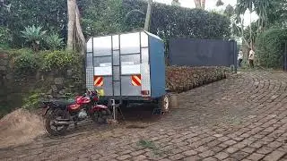 Trimming a Jacaranda tree above our gate