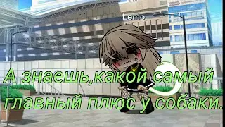 Gacha Life meme \Знаешь какой главный плюс у собаки..?\