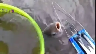 Новый способ рыбалки