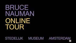 ONLINE TOUR  - BRUCE NAUMAN