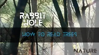How to Read Trees - E99