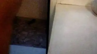 Голубь века#1 балкон