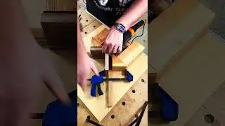 Shocking Biscuit Joiner Use You Need to See