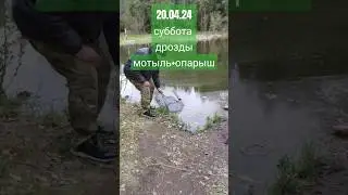 Субботний поплавок бутерброд мотыль+опарыш