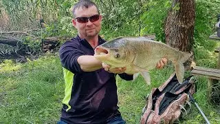 Вже думав залишусь без товстолобика, а ні справа пішла.