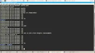 SVN quick start