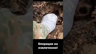 Хочу вас удивить!