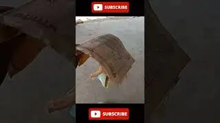 पैसे की कीमत 🤑💰💫 #ytshorts #youtubeshorts #shorts