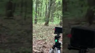 Massachusetts turkey hunt #hunting #viral #turkey #turkeyhunting #turkeycall