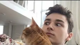 БРАЙН МАПС МОМЕНТЫ С ТИГРОЙ 2 INSTAGRAM STORY