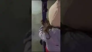 бессонница