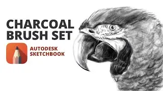 Digital Charcoal Drawing   [ Time-lapse Demo ]