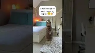 я и готовка💥☠️ 