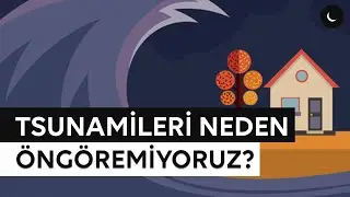 Tsunamileri Neden Öngöremiyoruz?