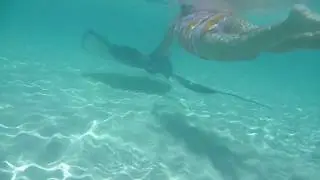 Peyton @ Stingray City
