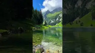 #naturevideo   #shorts #shortsvideo  #statusvideo #statusvideo #trending #naturevideo #relaxingmusic