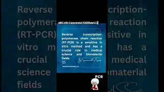 Reverse Transcription Polymerase Chain Reaction