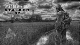 DAYZ NEW STORY S.T.A.L.K.E.R RP/ Новичок в зоне / Знакомство с сервером / Стрим#1