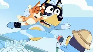 🥇 👨 I Momenti più belli di Bandit | Festa del Papà | Bluey Italiano Canale Ufficiale 💙 🇮🇹